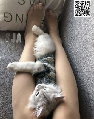 十大拍拍拍拍拍拍拍免费_BD韩语高清完整版